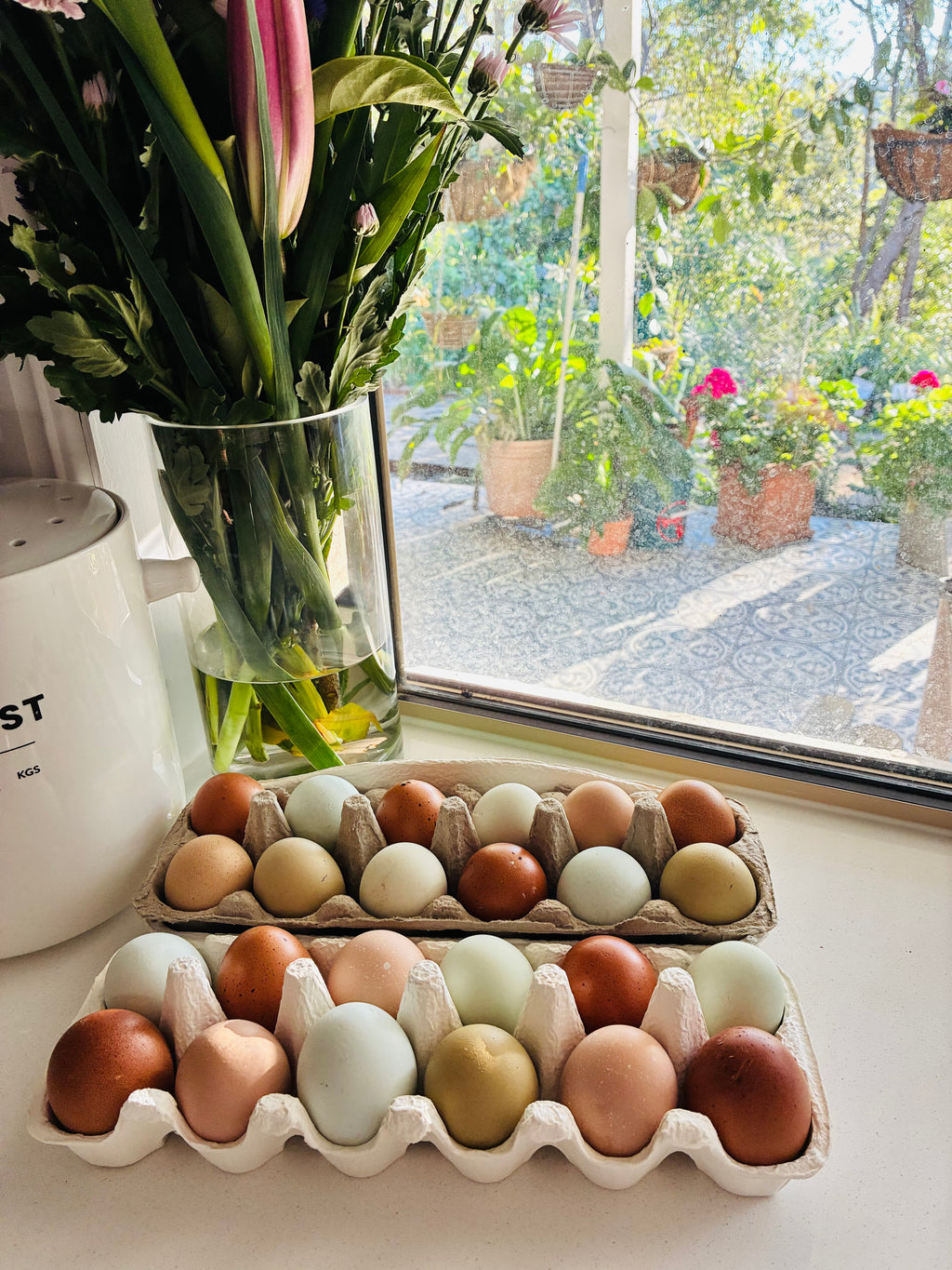 Lucky Dip Fertile Egg Dozen
