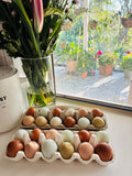 Lucky Dip Fertile Egg Dozen