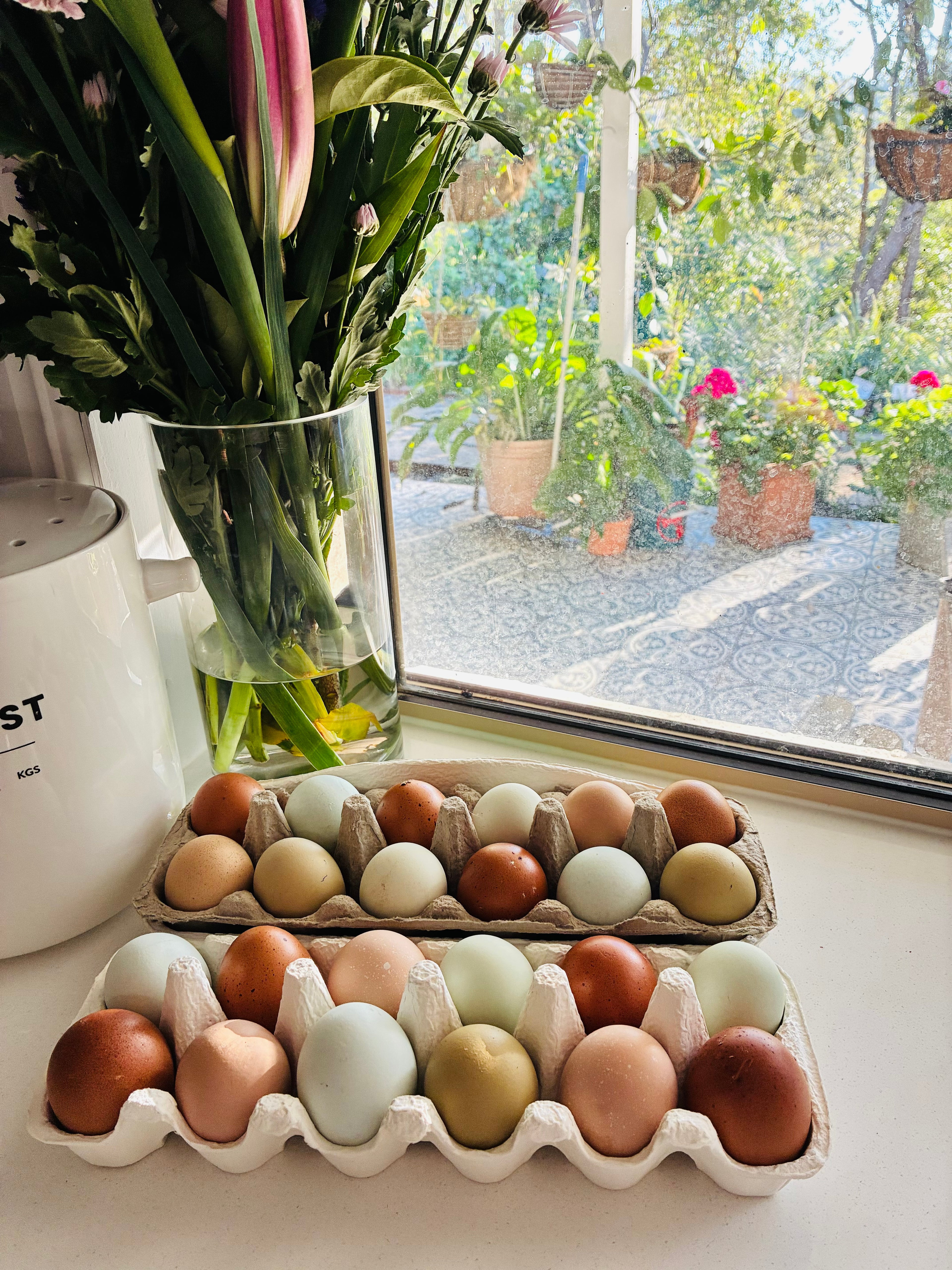 Lucky Dip Fertile Egg Dozen